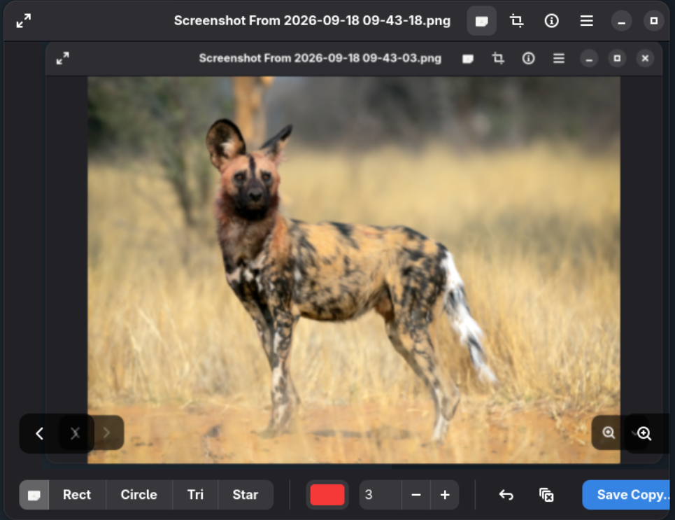 Image Viewer Screenshot